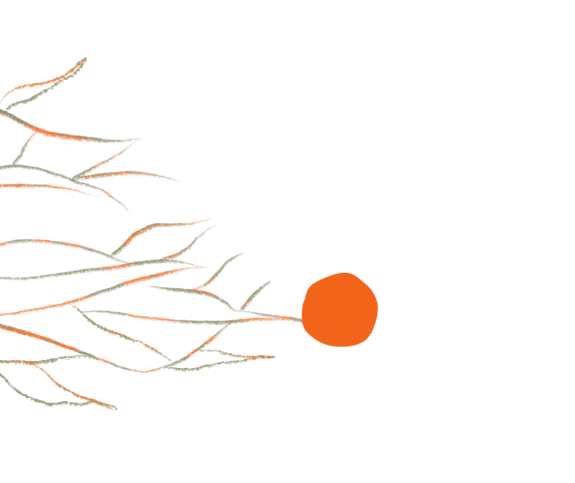 Contacter Christine Beroud